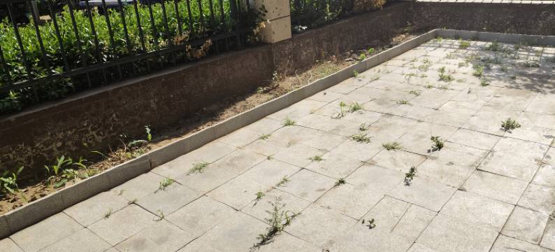 慢生活小院民宿图片