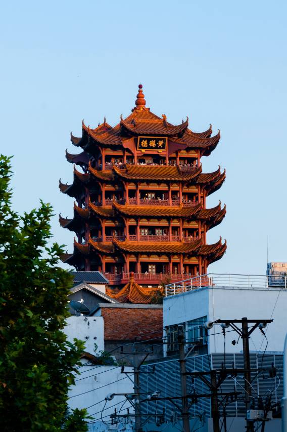 武汉世茂希尔顿酒店图片