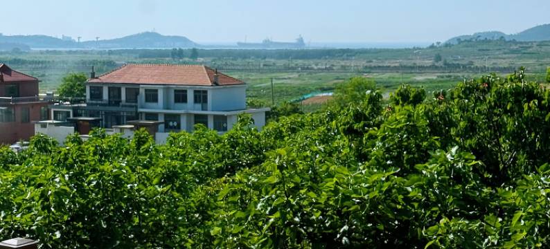 天海蓝民宿图片