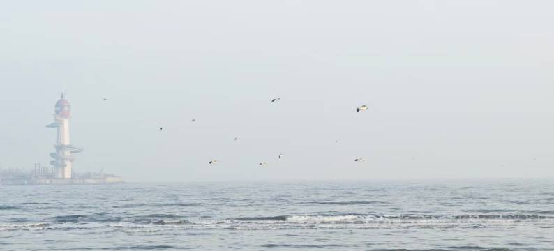 梦里·回首民宿(鸽子窝公园店)图片