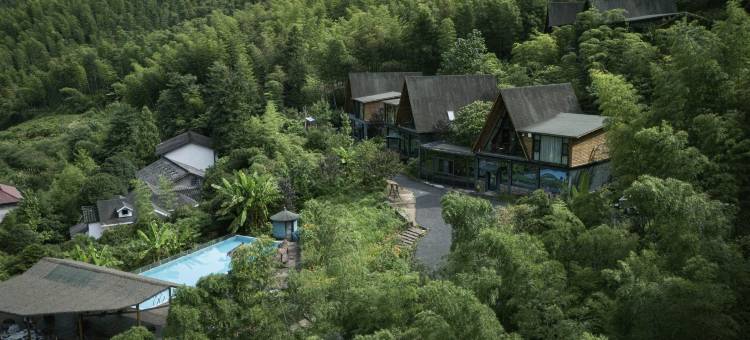 衢州龙游见吾乡·竹栖谷温泉度假民宿图片