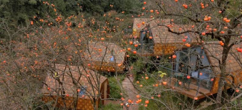 一念生花余粮山民宿图片