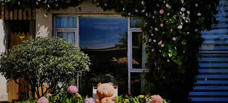 听雪居(丽江白沙古镇店)图片