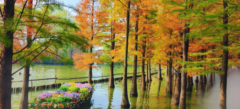 十三居·栖玖轩民宿(洛邑古城丽景门十字街店)图片