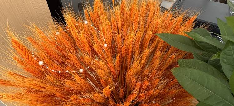 武都奕璟云朵酒店(高铁站店)图片