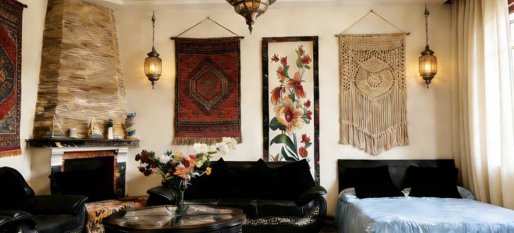 摩洛哥卡萨布兰卡北极熊机场民宿(Morocco Casablanca Polar Bear Airport Homestay)图片