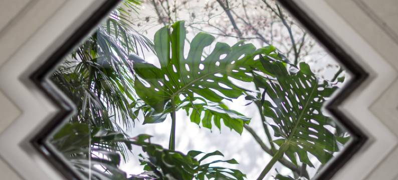 桂山华星酒店(东西巷七星公园店)图片