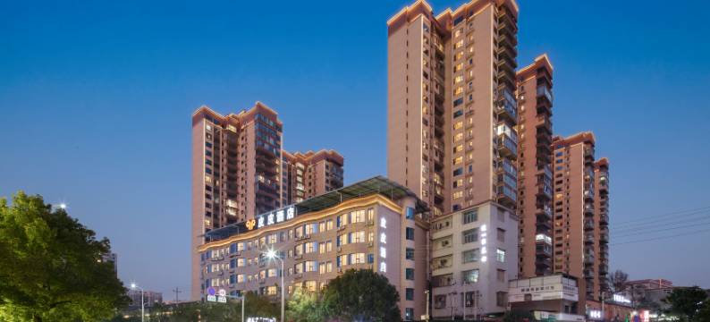 临武皮皮酒店(县政府店)图片