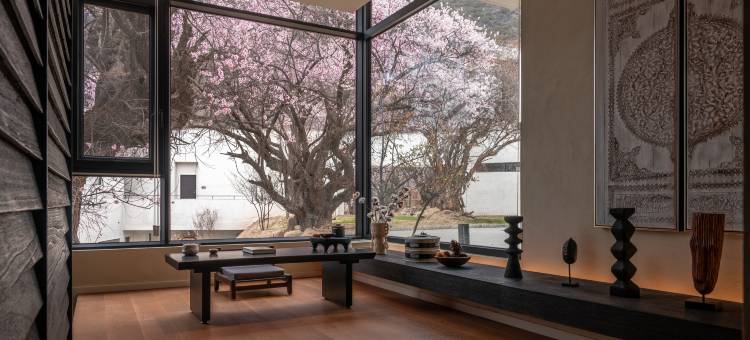 山泽居野奢桃林庭院度假民宿图片