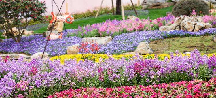 婺女洲度假区茶圣·奢野别墅图片