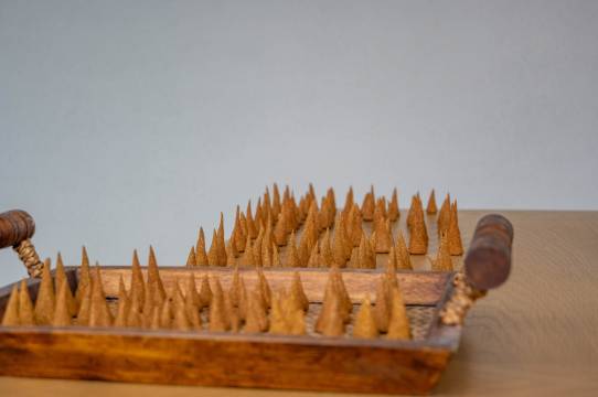 林芝藏南桃谷酒店图片