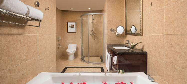 茂名碧桂园凤悦凤凰酒店图片