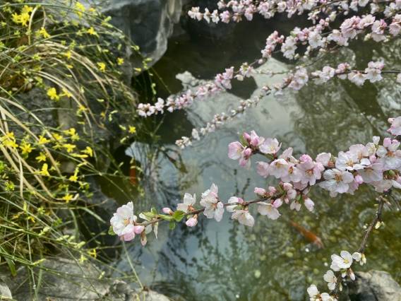 北京友谊宾馆贵宾楼图片