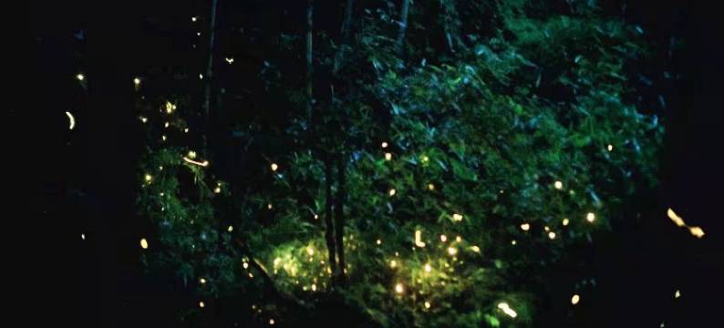 莫干山云澜·Cloud温泉花园设计美宿图片