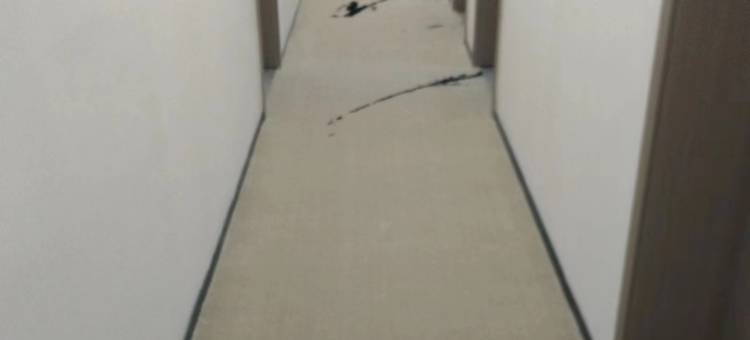 如家驿禾酒店(北京体育大学圆明园店)图片