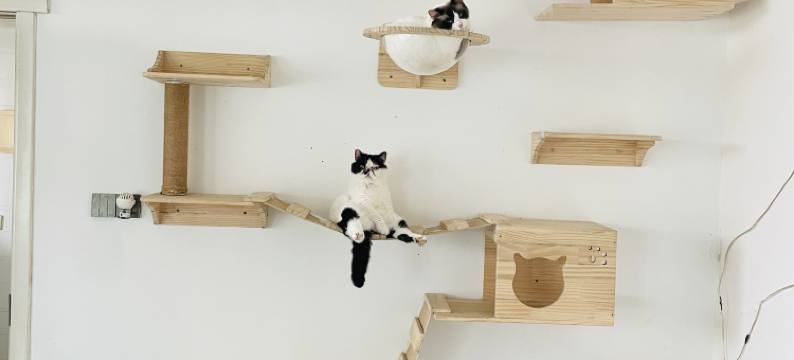 嵊泗如约而至海景民宿图片