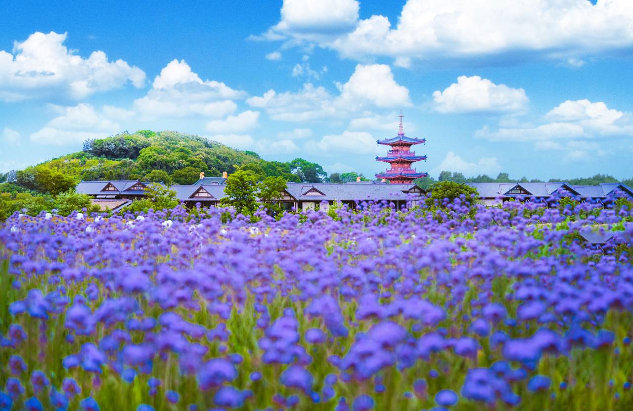 无锡拈花湾拈花客栈(拈花湾景区店)图片