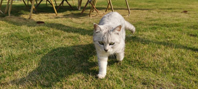 陌野·乡宿 (丹霞山店)图片