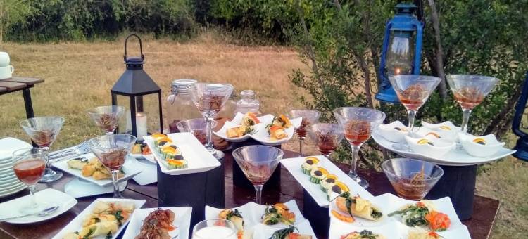 玛霍拉 - 韦帕图生态团队(Mahoora - Wilpattu by Eco Team)图片