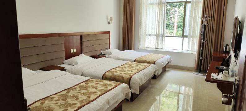 凤山梧桐精品酒店图片