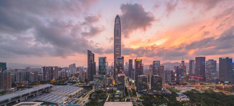 诗雅图 Vista·Skyline影音雅居(深圳会展中心岗厦地铁站店)图片