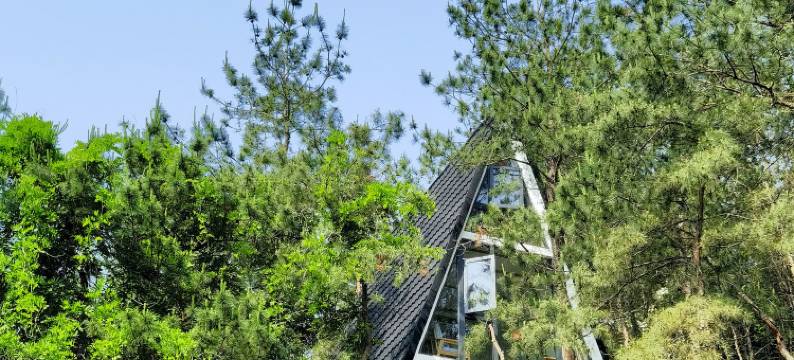 崎山泊里酒店图片