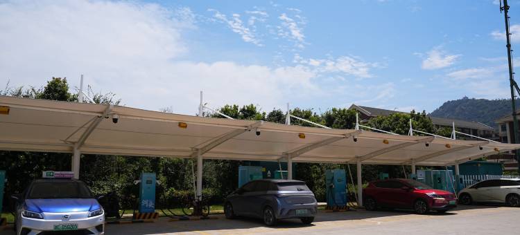 宝岛花海民宿(洞头梅园店)图片
