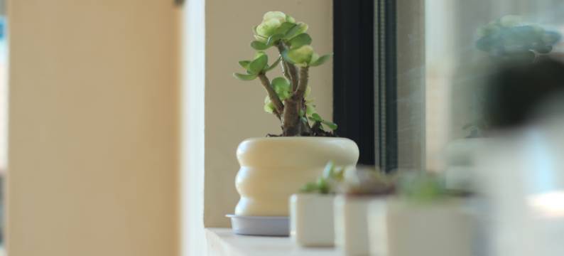 湄洲岛沐云海景民宿图片