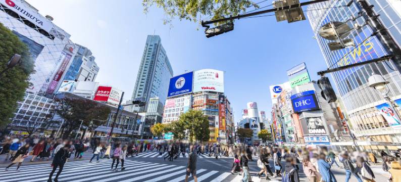 东京繁花青山酒店(Hotel Allamanda Aoyama Tokyo)图片