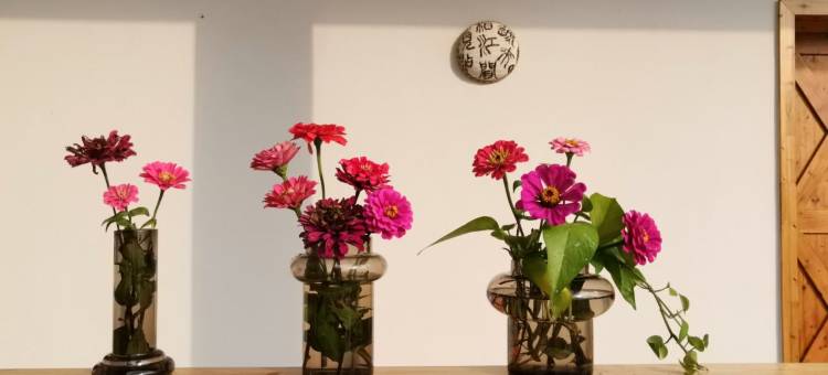 岳阳汀兰别院民宿图片