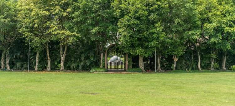 清远丁香花园酒店图片