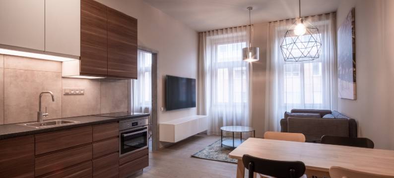 Rimska 14 公寓酒店(Aparthotel Rimska 14)图片