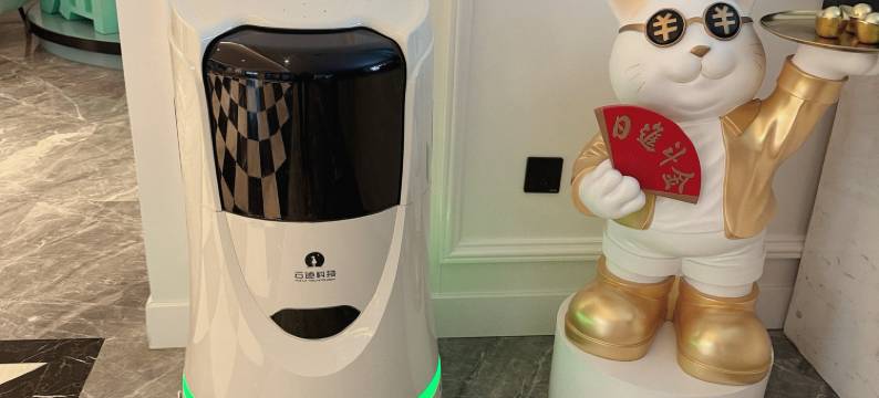 绥棱西岸酒店图片