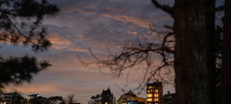 迷雾精品大叻酒店(The Mist Boutique Dalat Hotel)图片