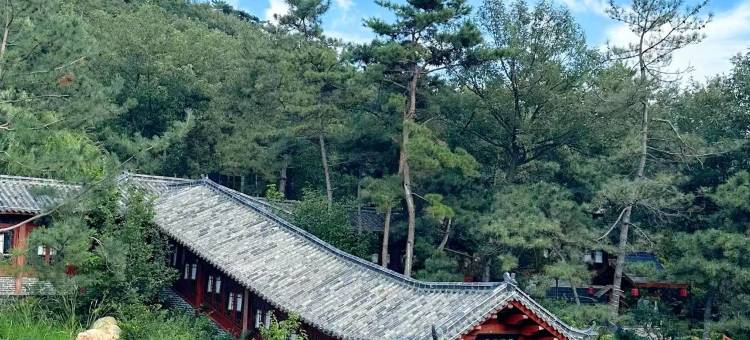 临沂平邑蒙山康谷温泉酒店(龟蒙景区店)图片