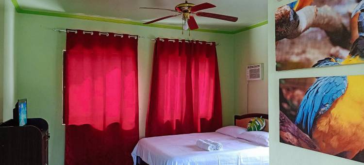 红多兹酒店@薄荷岛加西亚赫尔南德斯(RedDoorz @ Garcia Hernandez Bohol)图片