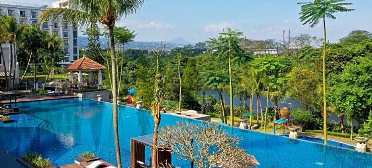 万隆马尾松酒店(Mason Pine Hotel Bandung)图片