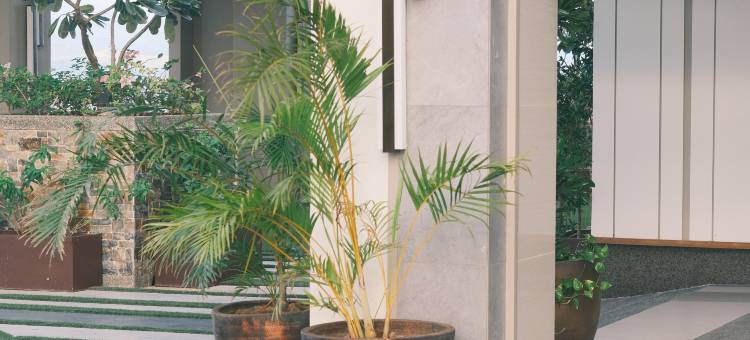 TreehouseRiddle图片