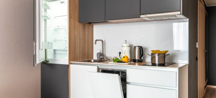 莫斯科艺术空间公寓(Apart-Hotel ARTSTUDIO Moskovsky)图片