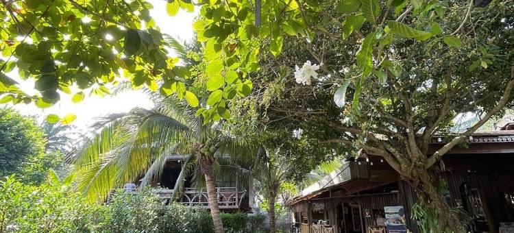 精品乡村酒店(Boutique Village Hotel)图片