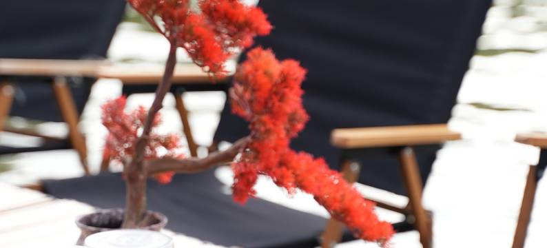 清远市山水云涧度假庄园(白庙黄腾峡店)图片