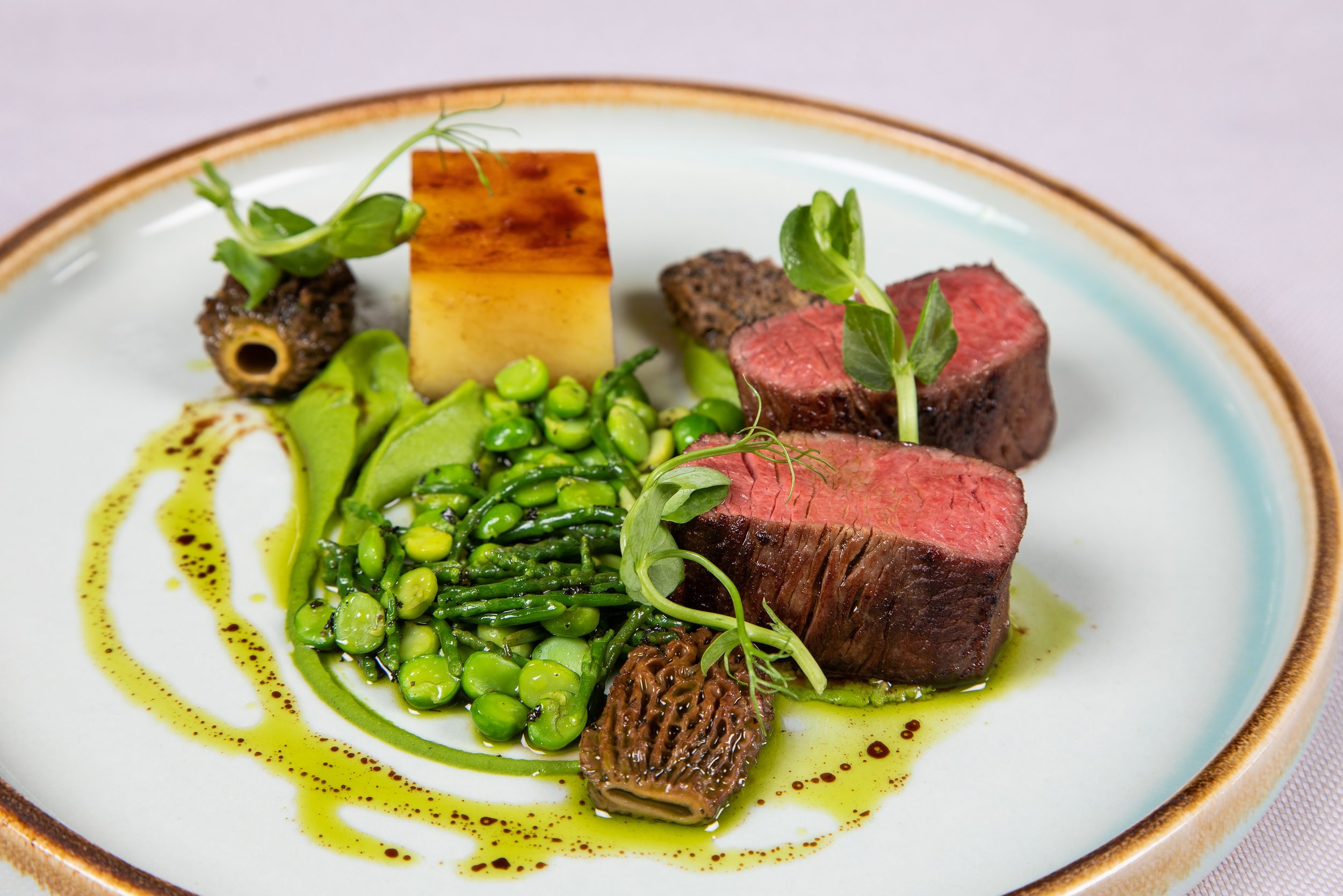 The Vineyard Hotel & Spa Over view