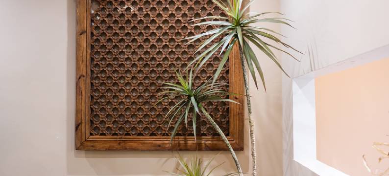 云栖小筑(苏州平江路观前街店)图片