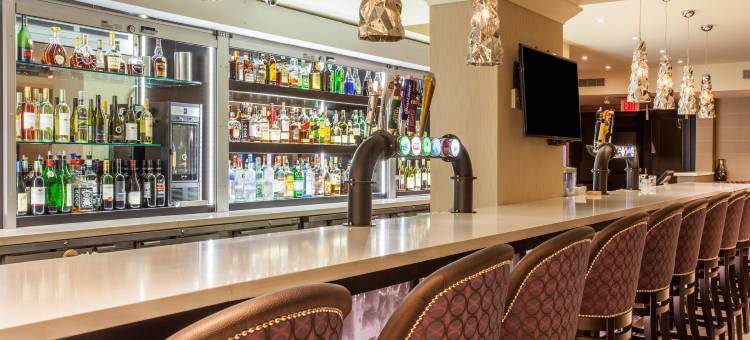 Holiday Inn 多伦多 - INT'L机场(Holiday Inn Toronto International Airport)图片