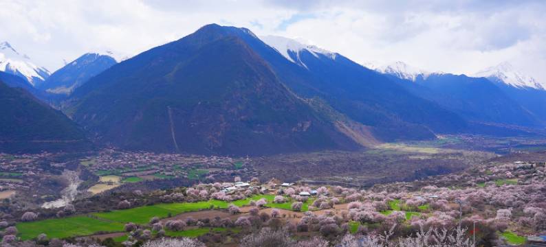 果然桃里酒店(林芝波密店)图片