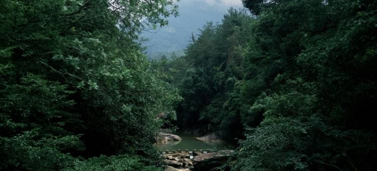 九江·庐山丨Scenic picturesque壹号花园美宿(东林大佛店)图片