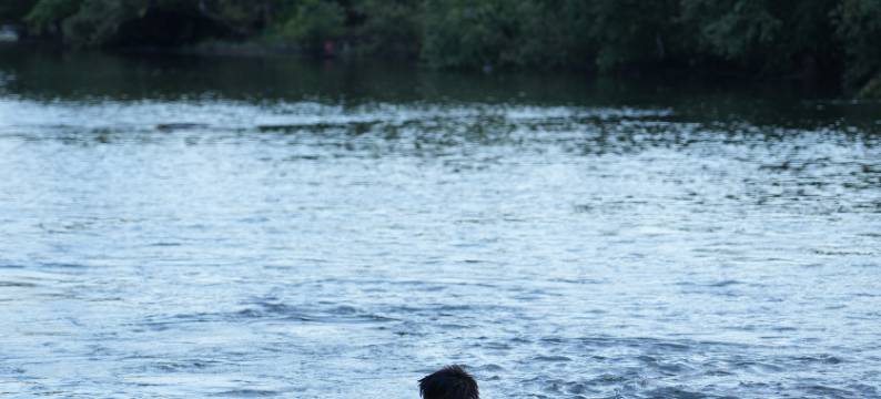 香遇·老樟树民宿图片