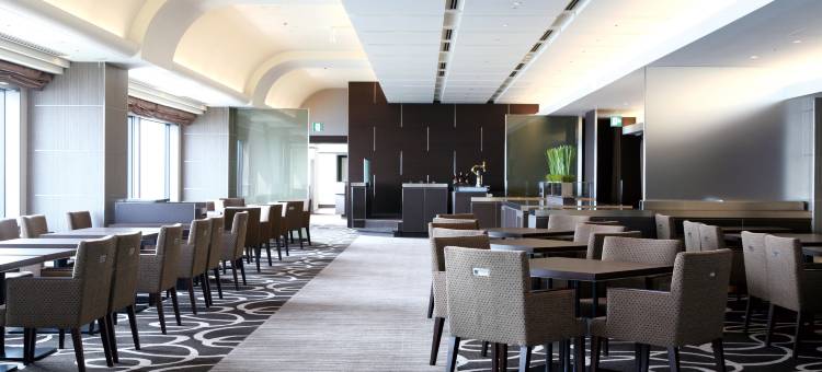 大阪关西机场奥德西斯套房酒店(Odysis Suites Osaka Airport Hotel)图片