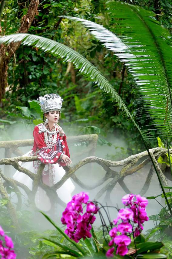 呀诺达旅游区雨林一号度假酒店图片