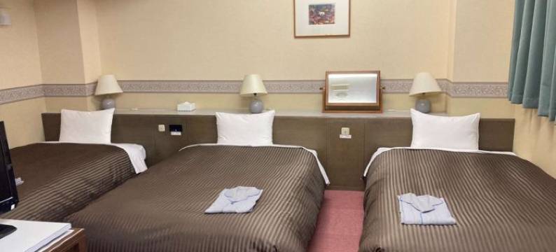 札幌哈密尔顿酒店(Hotel Hamilton Sapporo)图片